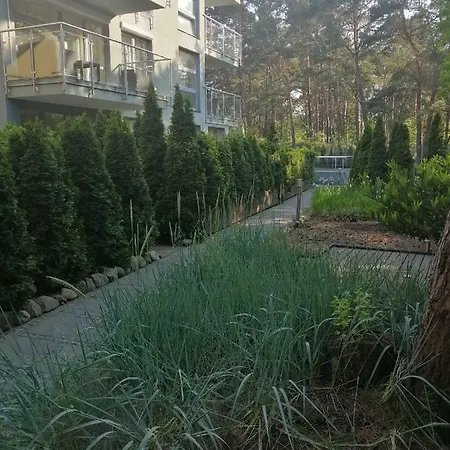 W Willi Woda W Juracie アパート