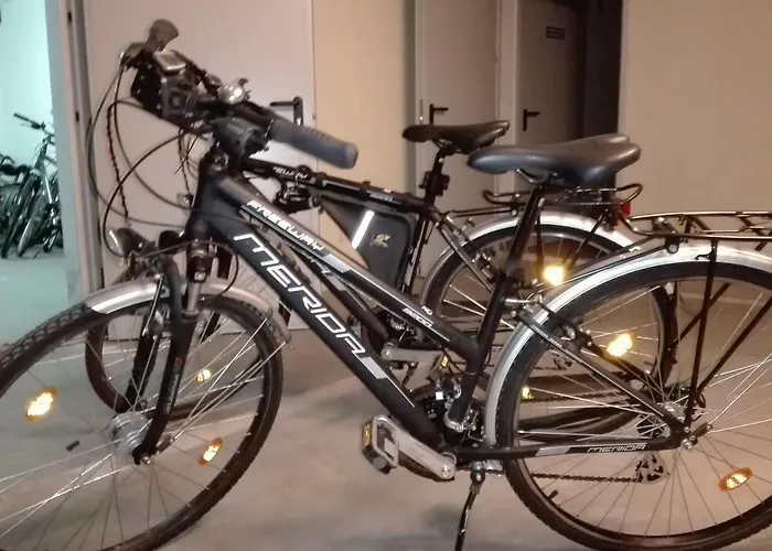 W Willi Woda W Juracie Jurata