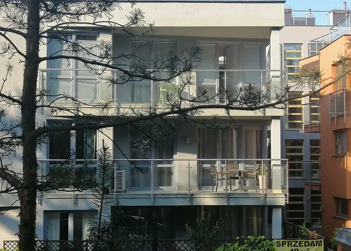 W Willi Woda W Juracie *